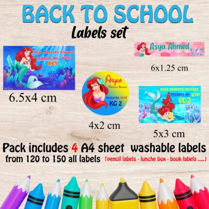 Mermaid school labels set