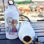 Flask bottle - Frozen
