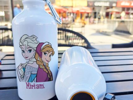 Flask bottle - Frozen