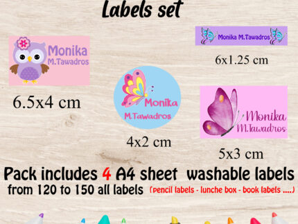 Butterfly school labels set