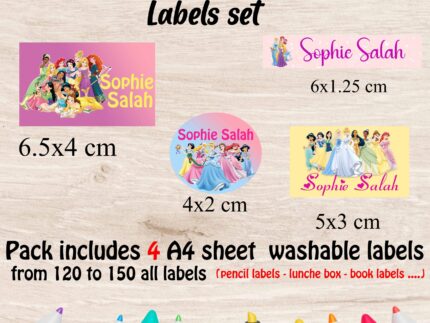 Princess school labels set